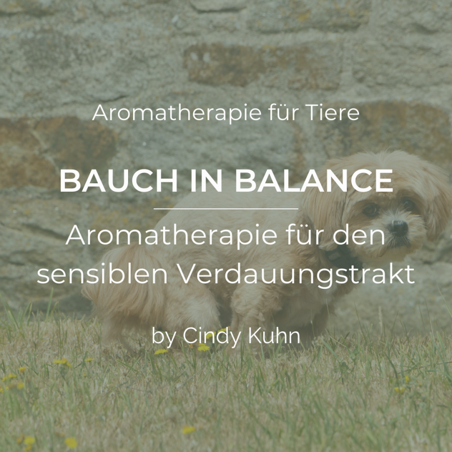 Bauch in Balance – Aromatherapie für den sensiblen Verdauungstrakt