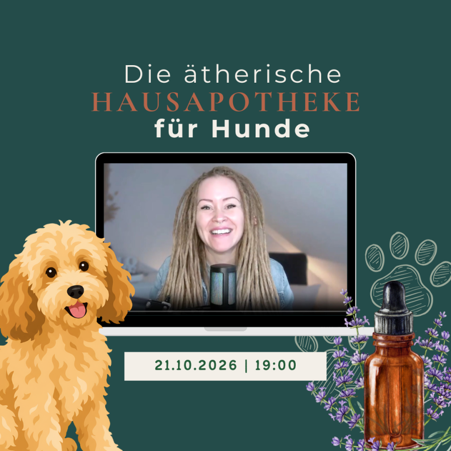 Neu Neu Neu (1)