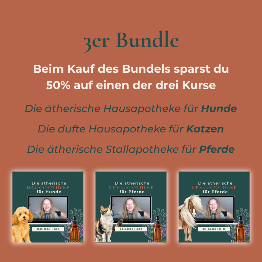 Neu Neu Neu (5)